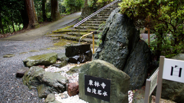 camp29 (211).jpg